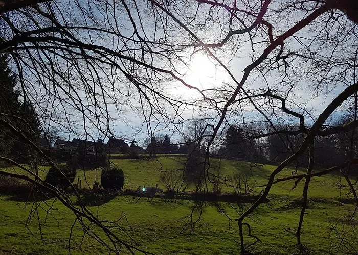 一步通全市度假屋&花园 *